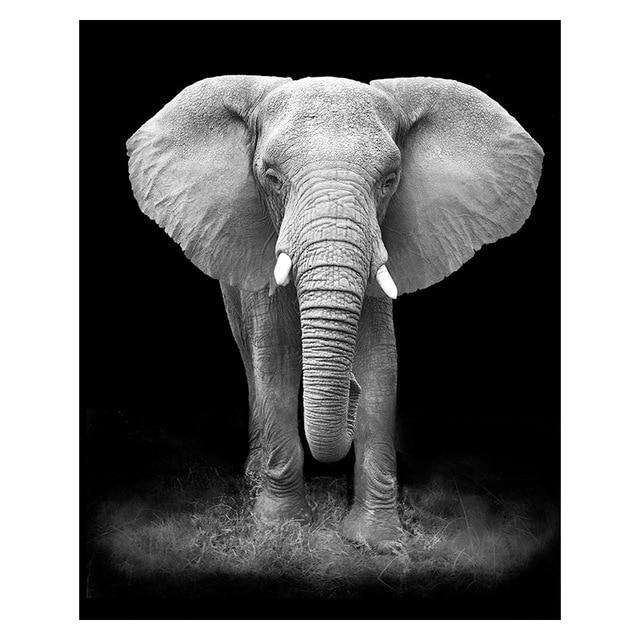 High Quality Animal Wall Art Posters