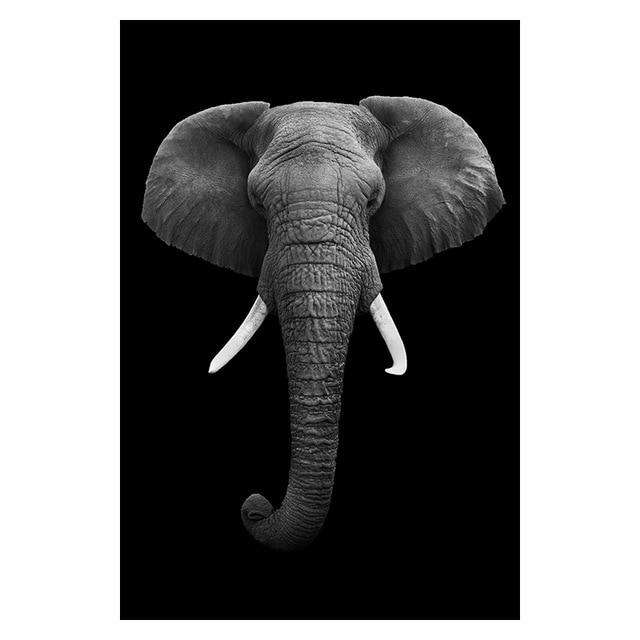 High Quality Animal Wall Art Posters