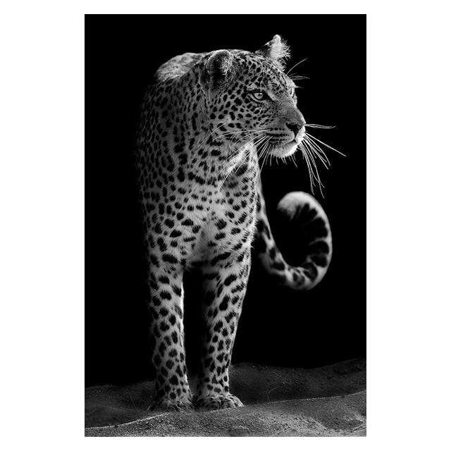 High Quality Animal Wall Art Posters