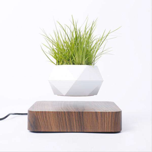 Floating Plant Pot