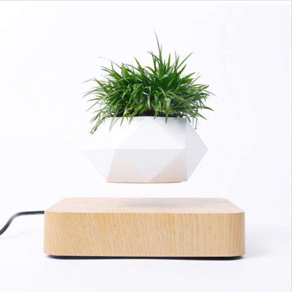 Floating Plant Pot